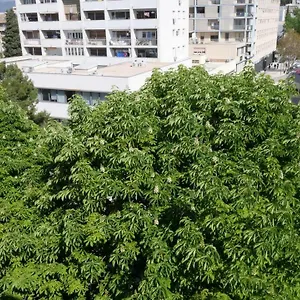 Neva Apartment
